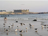 Praia do Castelo do Queijo