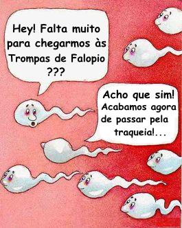 Cartoon n� 159