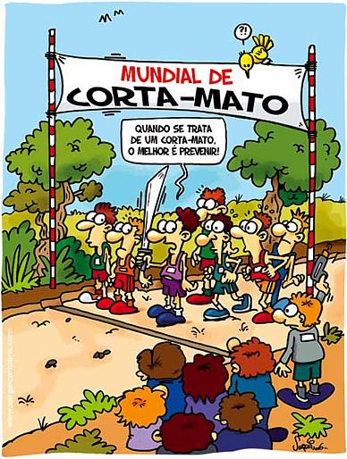 Cartoon n� 244